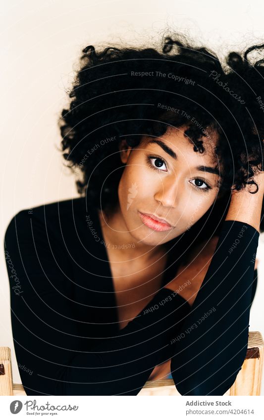 Charming ethnic woman sitting on chair on white background afro tender serene hairstyle home casual tranquil female black african american wooden seat calm