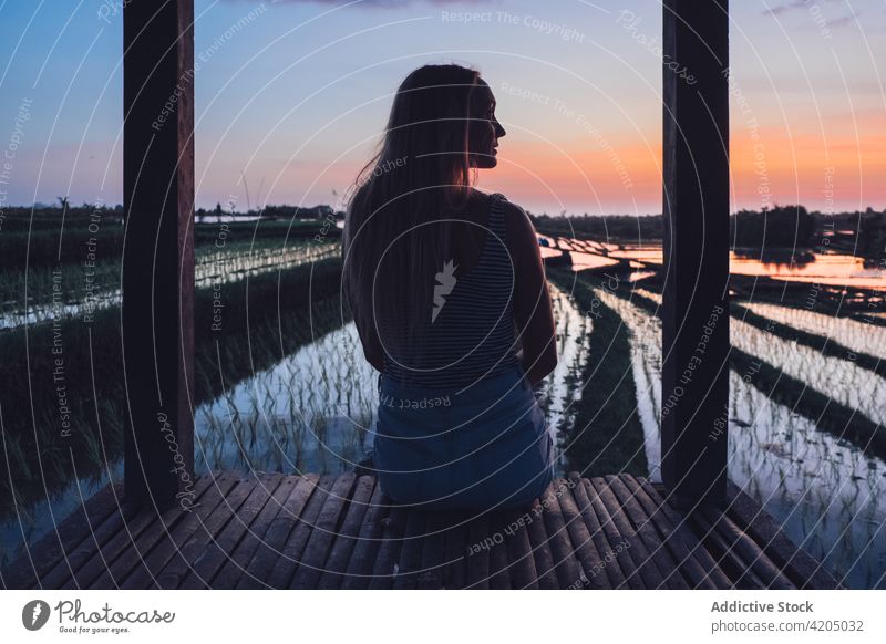 Blond woman sitting in a rice field in Kajsa plant green farm agriculture paddy nature landscape food harvest background asia thailand outdoor asian sky farming