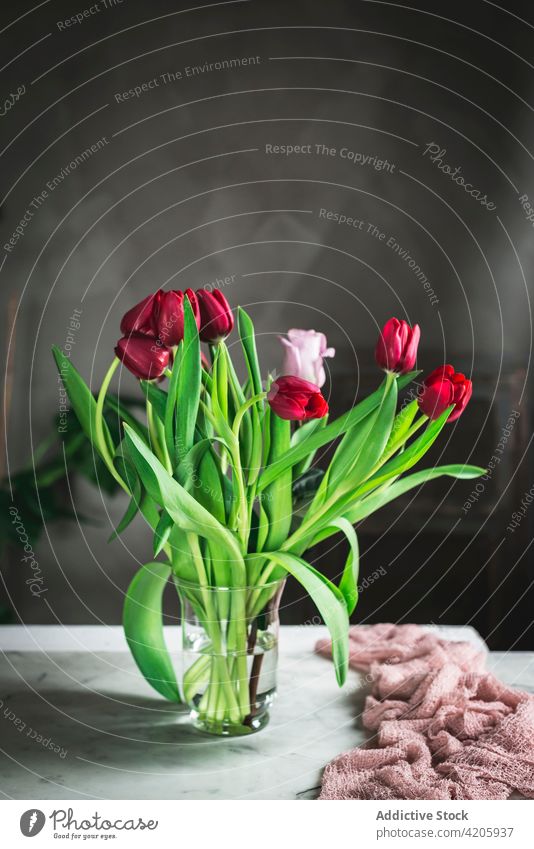 Vase with red tulips on the table petals flora plant flower vase decorating flowers pink decorated fresh wooden copy space vertical bloom daisy leaves floral