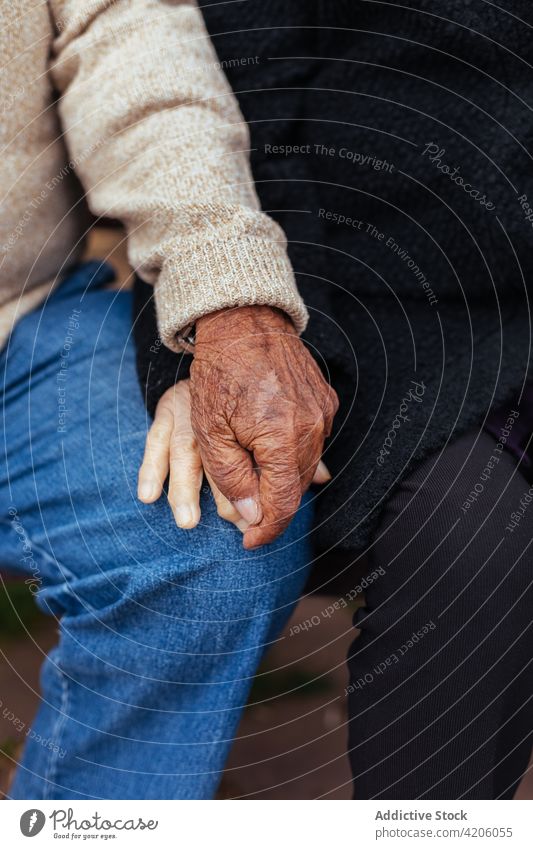 Anonymous elderly couple holding hands woman together person adult togetherness male female husband wife care married retirement two people grandfather