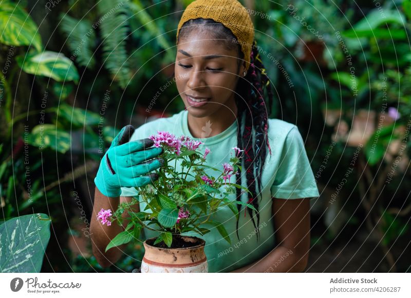 Ethnic woman planting flowers in pots in greenhouse gardener hothouse care shovel dreadlocks happy soil hippie female ethnic rastafarian black hobby smile joy