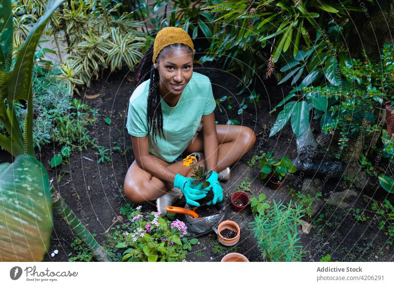 Ethnic woman caring about plants in greenhouse gardener replant transplant flower smile kalanchoe care female ethnic black african american bloom botany sit