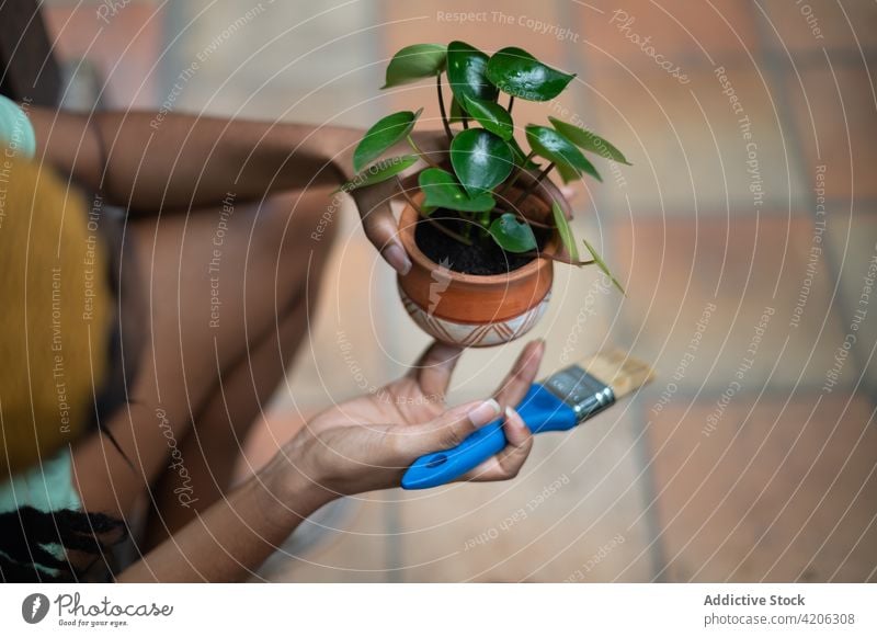 Anonymous black woman painting pot with flower in glasshouse gardener greenhouse hothouse horticulture ceramic clay female ethnic african american kalanchoe