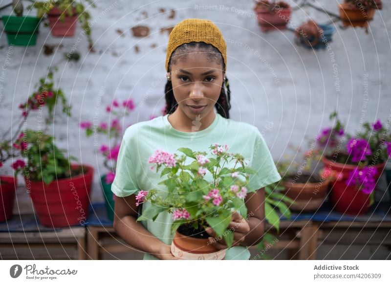 Happy ethnic woman with potted flowers in hothouse gardener horticulture greenhouse blossom female glove black african american bloom botany stand flora plant