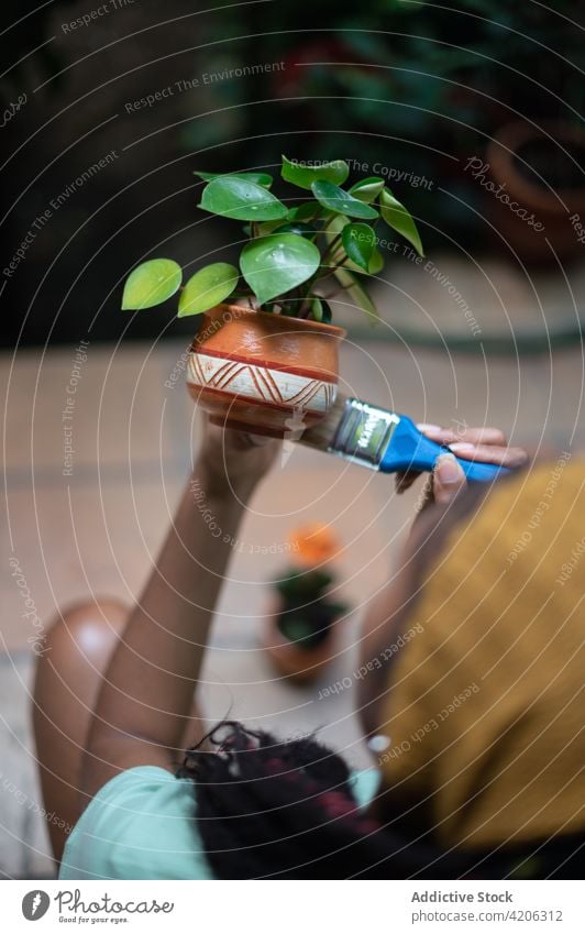 Anonymous black woman painting pot with flower in glasshouse gardener greenhouse hothouse horticulture ceramic clay female ethnic african american kalanchoe