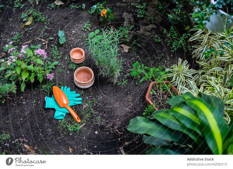 Assorted potted plants placed in the ground of greenhouse hothouse ceramic flower bloom blossom assorted various flora organic fresh botany soil floral