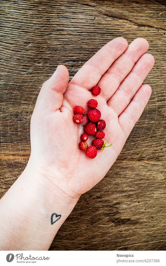 Wild strawberries Walderdbeeren Erdbeeren Obst Natur Lebensmittel Nahrung Hand Frauenhand Herz Finger Handfläche Tattoo Holz Holztisch Scheunentor Struktur rot