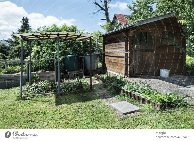 A garden house with beds and rain barrels Garden Nature Plant Exterior shot Deserted Green Summer naturally Garden Bed (Horticulture) Growth Gardenhouse Arbour