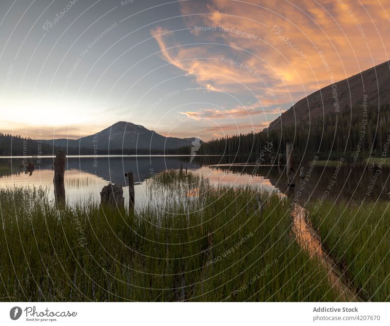 Calm lake against mountains in nature coast grass river water evening pillar post peaceful wooden rocky cloudy usa america united states waterfront calm