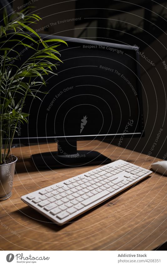 Keyboard with mouse arranged on desk with potted plant keyboard office computer workplace electronic job monitor digital decoration houseplant technology modern