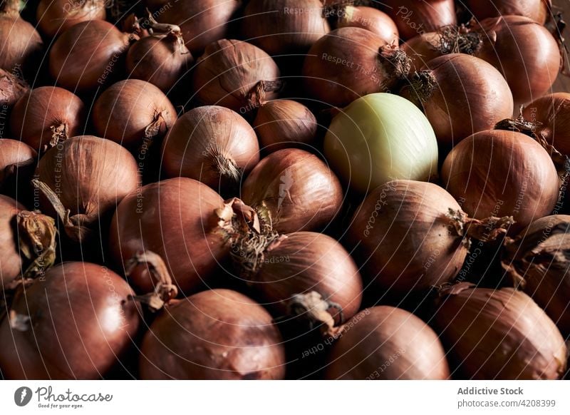 Heap of raw unpeeled onions heap whole organic natural fresh dry background many pile product nutrition vegetarian vegan ripe vegetable food ingredient healthy