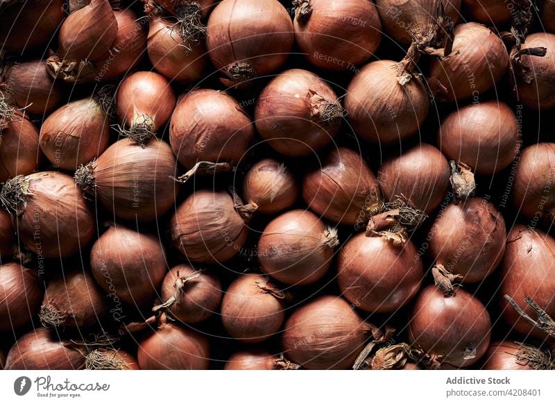 Heap of raw unpeeled onions heap whole organic natural fresh dry background many pile product nutrition vegetarian vegan ripe vegetable food ingredient healthy