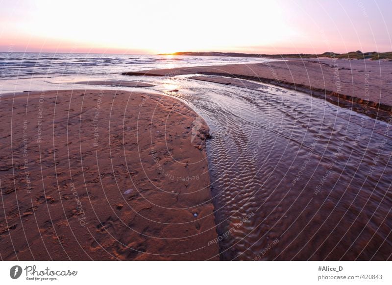 Beach River Sunset Midsummer in Sweden Nature Landscape Sand Water Sunrise Summer Beautiful weather Aurora Borealis Waves Coast Ocean Deserted Vacation & Travel