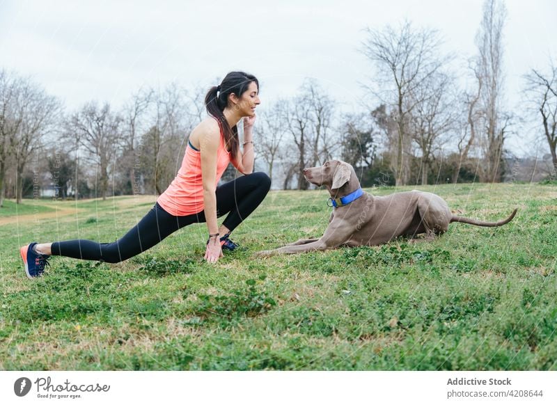 Woman with dog working out in park woman workout together stretch purebred weimaraner pet active exercise training breed loyal friend female owner animal canine