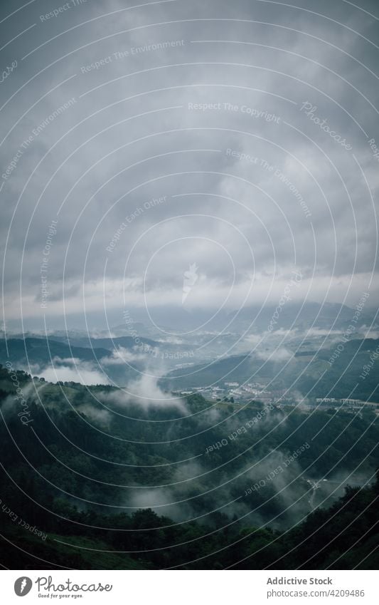 Forest in mountains with fog under gloomy sky cloudy forest highland nature landscape environment majestic slope wavy ridge atmosphere air overcast weather