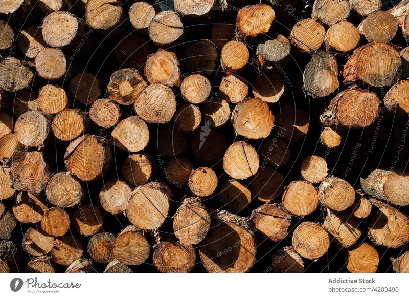 Textured backdrop of firewood with dry rough bark natural background row storage uneven texture countryside plant sprig brown heap green color dense structure