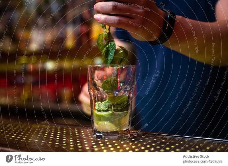 Unrecognizable bartender adding some mint leaves to the glass while preparing a cocktail in the bar alcohol alcoholic aperitif barista barman beverage business