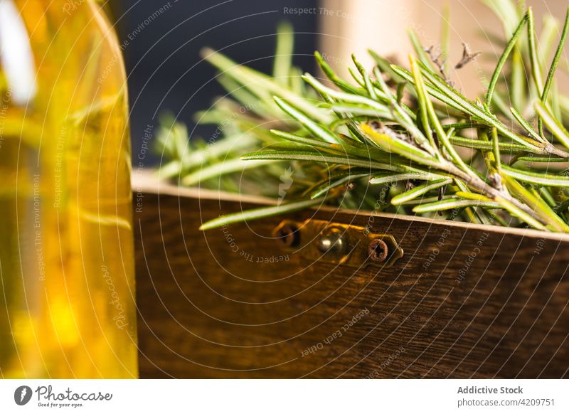 Herbs in chest near bottle with oil herb rosemary decor ingredient essential creative glass organic twig fragrant bright surface fresh small glassware