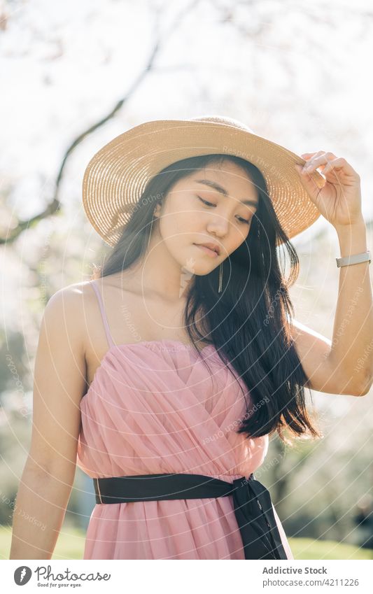 Romantic Asian woman standing under blooming brunches cherry orchard flower tree spring romantic dress garden flora female grow nature fragrant plant straw hat