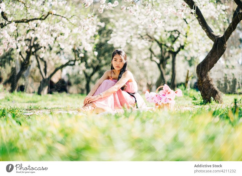 Ethnic female sitting on plaid with flowers in basket woman bloom lawn romantic orchard spring sensual peaceful dream garden wicker lush elegant nature tender