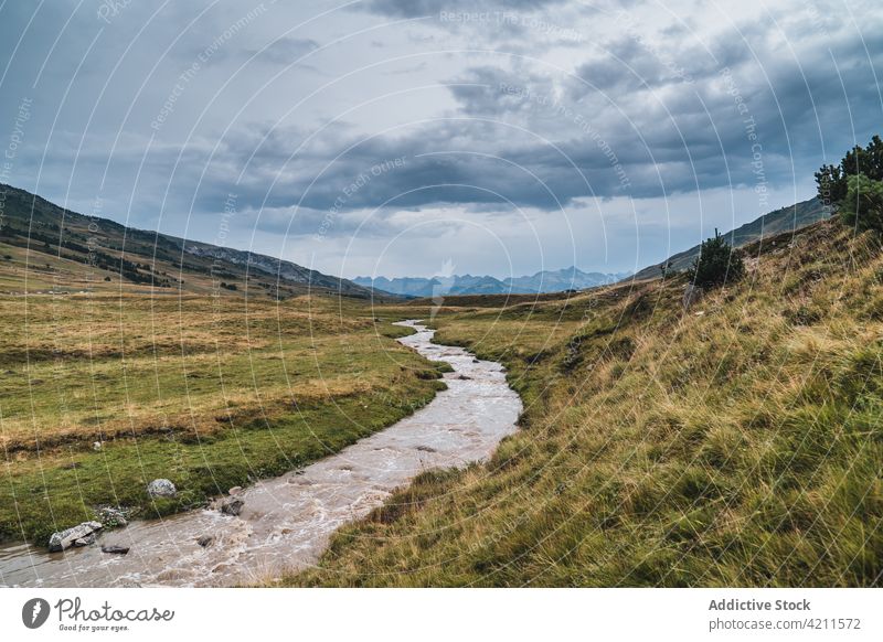 Narrow brook flowing through grassy field nature environment meadow fresh water tranquil lawn cumulus sky green endless cloud harmony hill peaceful terrain