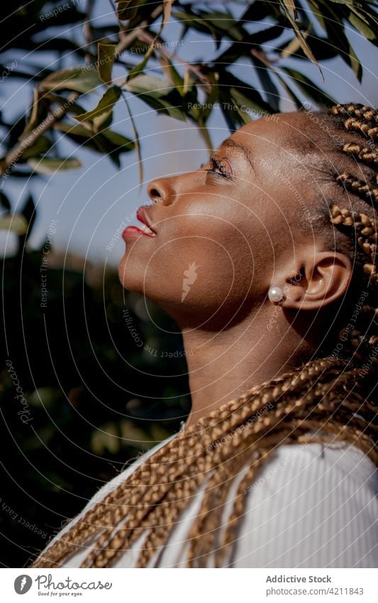 Stylish black woman in denim clothes in park outfit style cool summer sunny braid hairstyle female ethnic african american green garden stand individuality