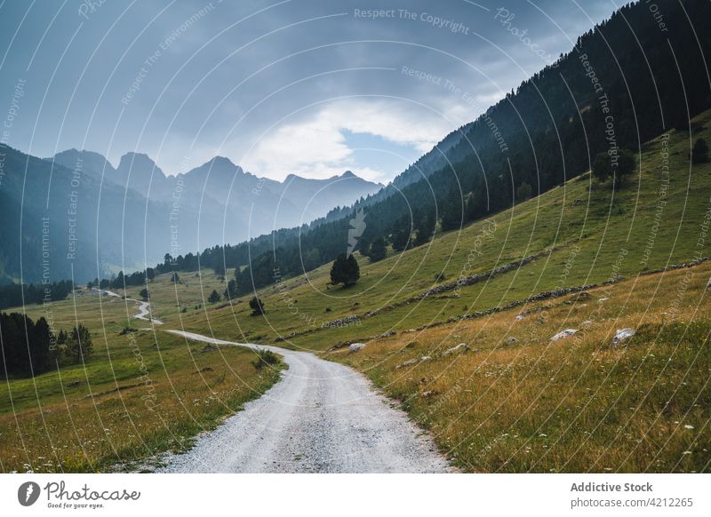 Road in majestic valley of Pyrenees mountains landscape road grass pyrenees highland cloudy sky nature hill val d arana picturesque empty dry green plant path