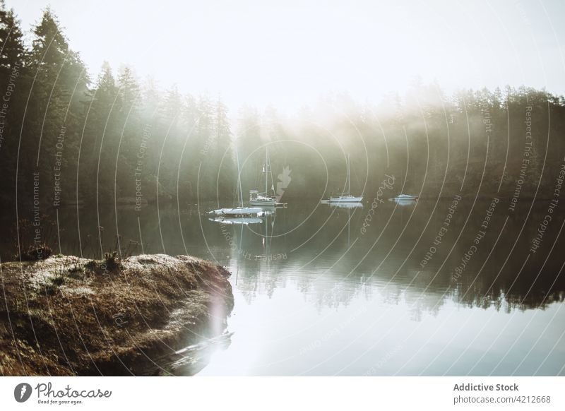 Nice landscape of a lake with some boats on a foggy day nature mist water outdoor beautiful forest travel morning white sky background mystery autumn solitude