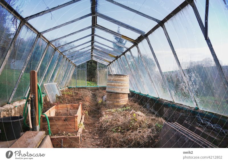 Pantry Greenhouse Glass wall Corner Peaceful Moody Working equipment Tool Work and employment Interior shot Colour photo Deserted Copy Space bottom