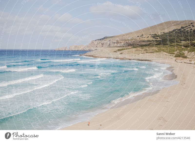 Cala Mesquida beach in Mallorca Beach Sandy beach Ocean Rock Hiking Water Blue Blue sky Waves Colour photo Deserted Exterior shot coast Day Nature Landscape