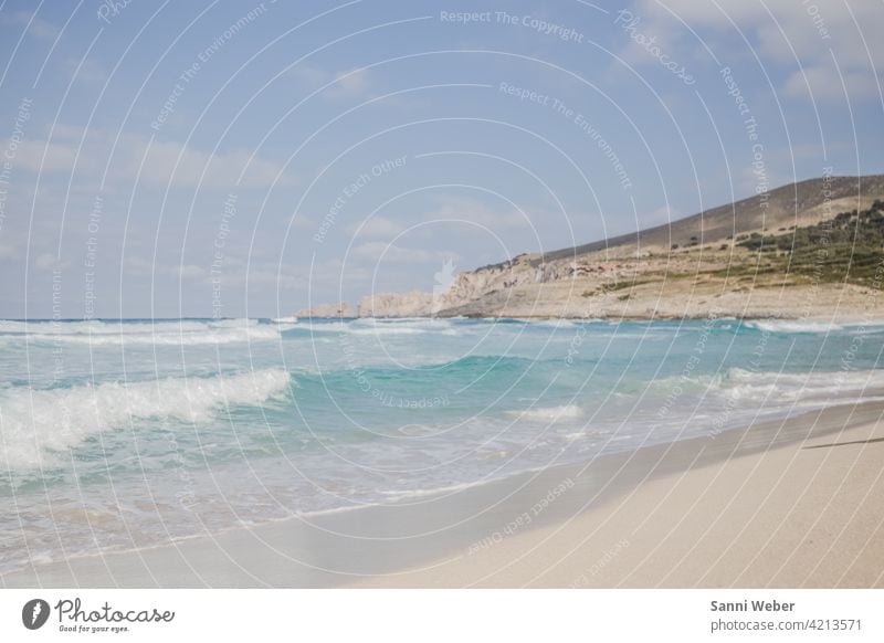 Cala Mesquida beach in Mallorca Beach coast Ocean Water Sand Waves Sky Lake Nature Blue Relaxation Vacation & Travel Horizon Landscape Exterior shot Deserted