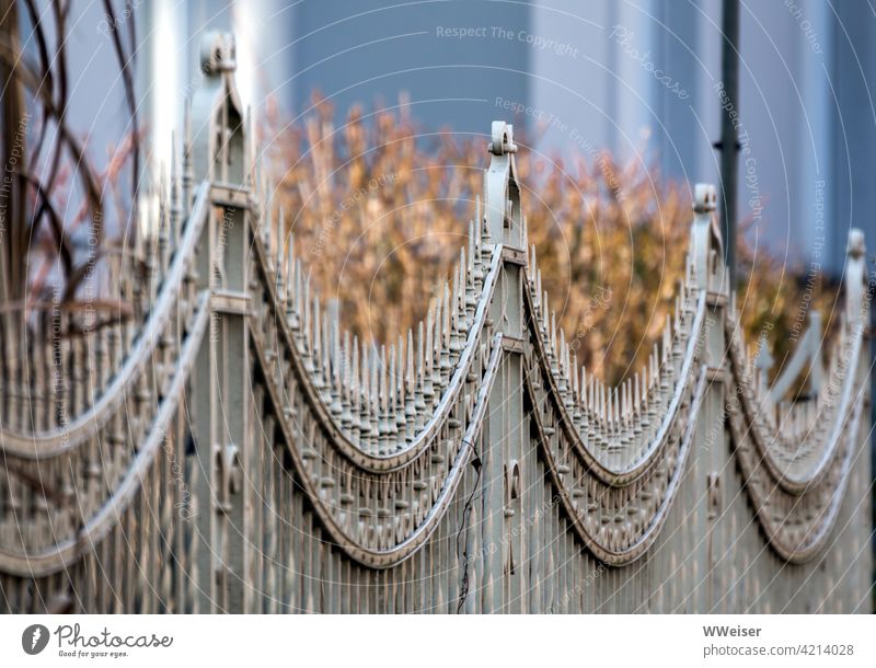 Neighbourhood: scrub behind artfully curved fence Fence peak curves undergrowth Dry Front garden neighbourhood Metal plants Garden wax repulse sb./sth.