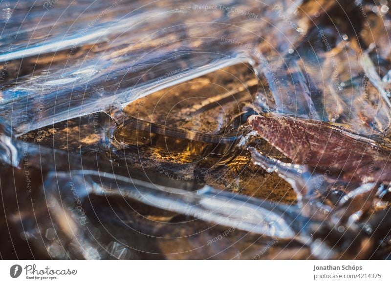 brown leaf frozen on the ground in ice closeup Deserted Day Close-up Exterior shot Background picture Colour photo Structures and shapes Autumnal colours