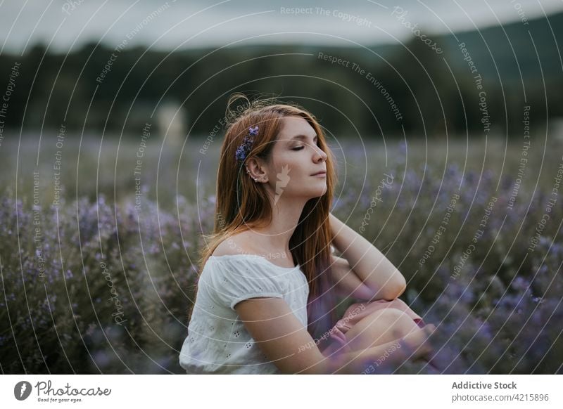 Tender woman in lavender field tender romantic dreamy flower hair blossom harmony female bloom enjoy idyllic summer meadow fragrant tranquil delicate calm plant