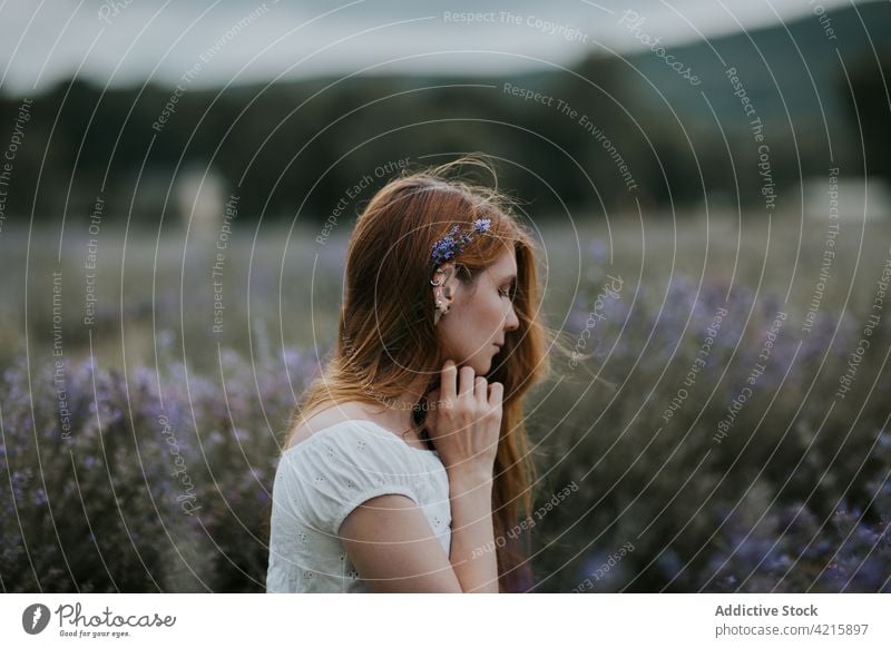 Tender woman in lavender field tender romantic dreamy flower hair blossom harmony female bloom enjoy idyllic summer meadow fragrant tranquil delicate calm plant