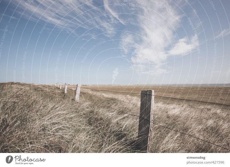 dry grassland Landscape Plant Animal Sky Horizon Summer Beautiful weather Drought Grass Bushes Fern Wild plant Meadow Field Coast North Sea Ocean Warmth