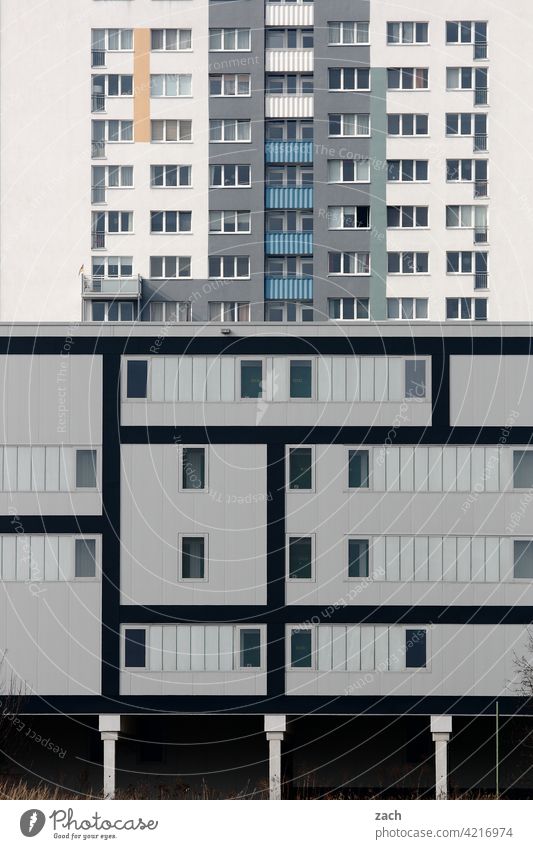 Life in boxes Pattern Loneliness Gray Window Concrete Line Living or residing Facade Wall (building) Wall (barrier) Architecture Manmade structures Deserted