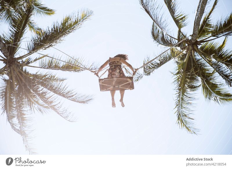 Unrecognizable woman on swings between lush palms tropical carefree sway resort exotic nature garden summer blue sky sunny park recreation peaceful paradise