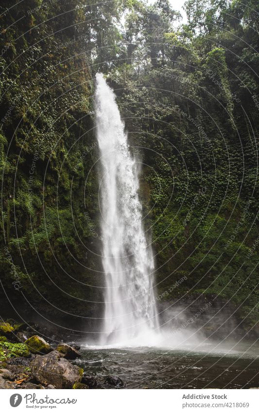 Scenic waterfall streaming from rough mossy cliff cascade nature tropical power scenic park travel rock environment exotic green flow forest scenery motion