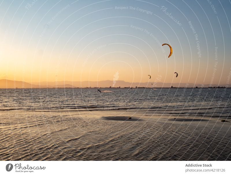 Paragliders over sea at sunset paraglide beach ocean active adventure fly nature seascape paraglider evening water sundown sport marine freedom flight parachute