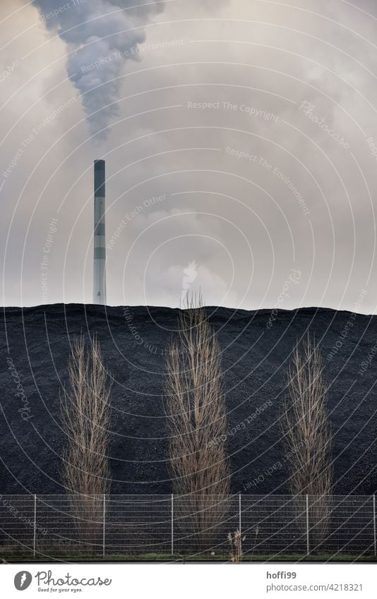 fenced leafless trees in front of coal dump and big chimney with a lot of emission Coal Stockpile Chimney Electricity generating station Thermal power station