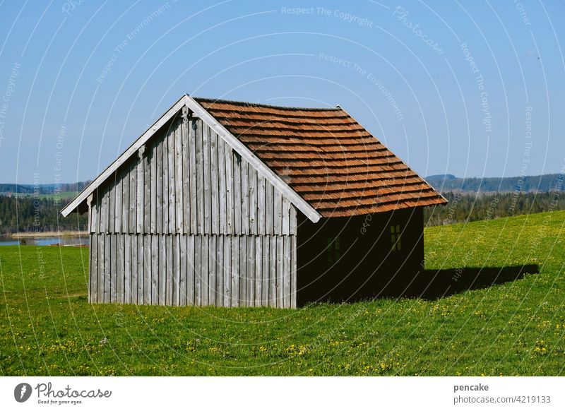 haus ohne hüter Gebäude Architektur nachhaltig natürlich einfach Himmel grau Holzbauweise Holzhütte Holzhaus Haus Landwirtschaft Wiese Allgäu