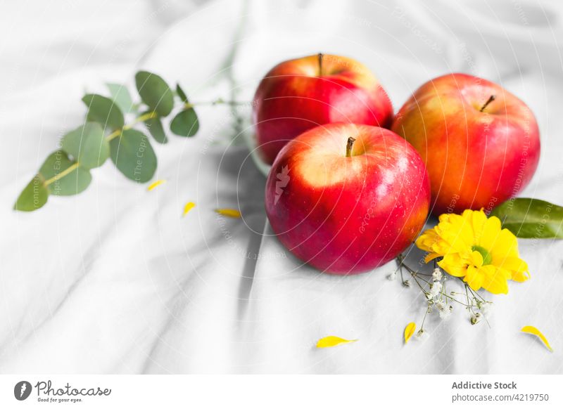 Fresh red apples near blooming Chrysanthemum on creased textile chrysanthemum fruit flower fresh organic vitamin cloth bright natural leaf stem fabric flora