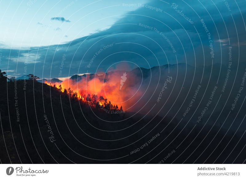 Mountain forest covered by fire smoke emergency danger wildfire flame climate change destroy deforestation conservation global warming tree nature night natural