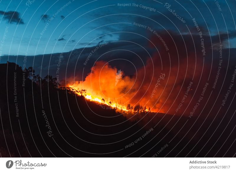 Mountain forest covered by fire smoke emergency danger wildfire flame climate change destroy deforestation conservation global warming tree nature night natural