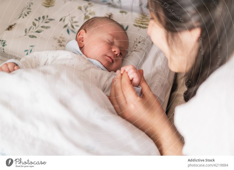 Crop parent holding newborn baby by hand in bed holding hands sleep babyhood innocent calm harmony idyllic nap eyes closed serene house parenthood together soft