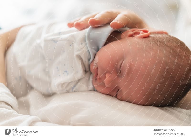 Crop parent holding newborn baby by hand in bed holding hands sleep babyhood innocent calm harmony idyllic nap eyes closed serene house parenthood together soft