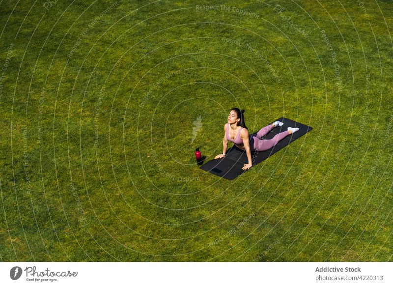 Woman showing Upward Facing Dog pose on yoga mat outdoors woman upward facing dog backbend wellbeing healthy lifestyle energy vitality practice lawn support