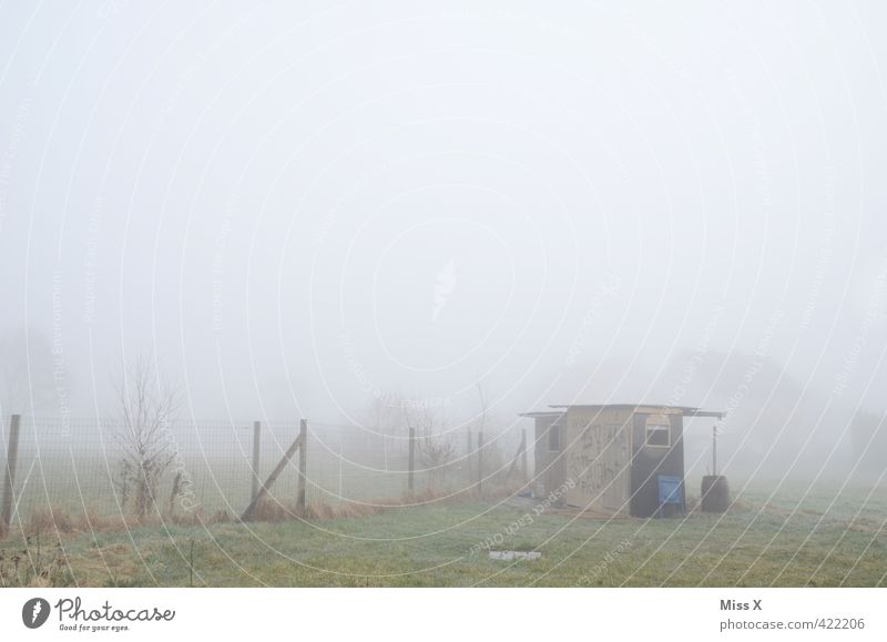 Howling little hut Weather Bad weather Fog Rain Garden Village Outskirts Deserted Hut Cold Wet Emotions Moody Loneliness Apocalyptic sentiment Decline