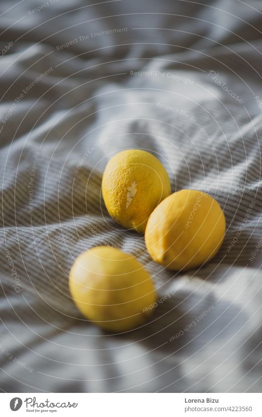 Lemons on soft green material soft light Fruit Citrus fruits citrus Yellow soft focus Colour photo